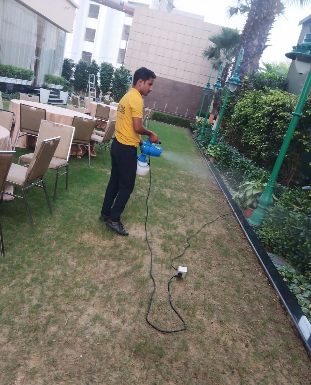 Safe Home technician fogging a lawn for mosquitoes