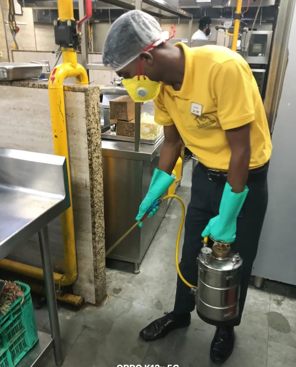 Safe Home technician treating a food storage area