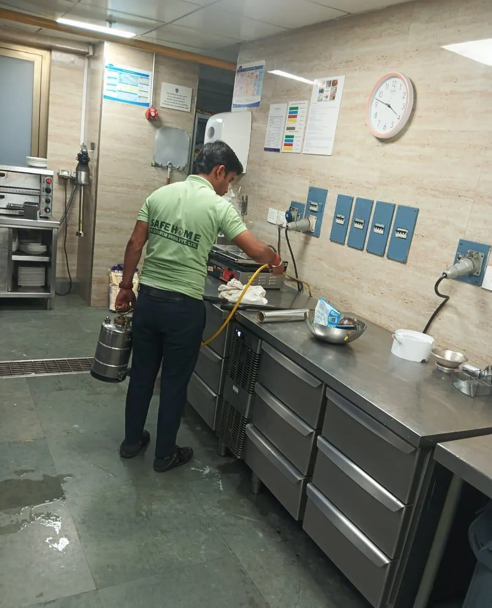 Safe Home technician treating a commercial kitchen with stainless steel counters and wall-mounted electrical boxes
