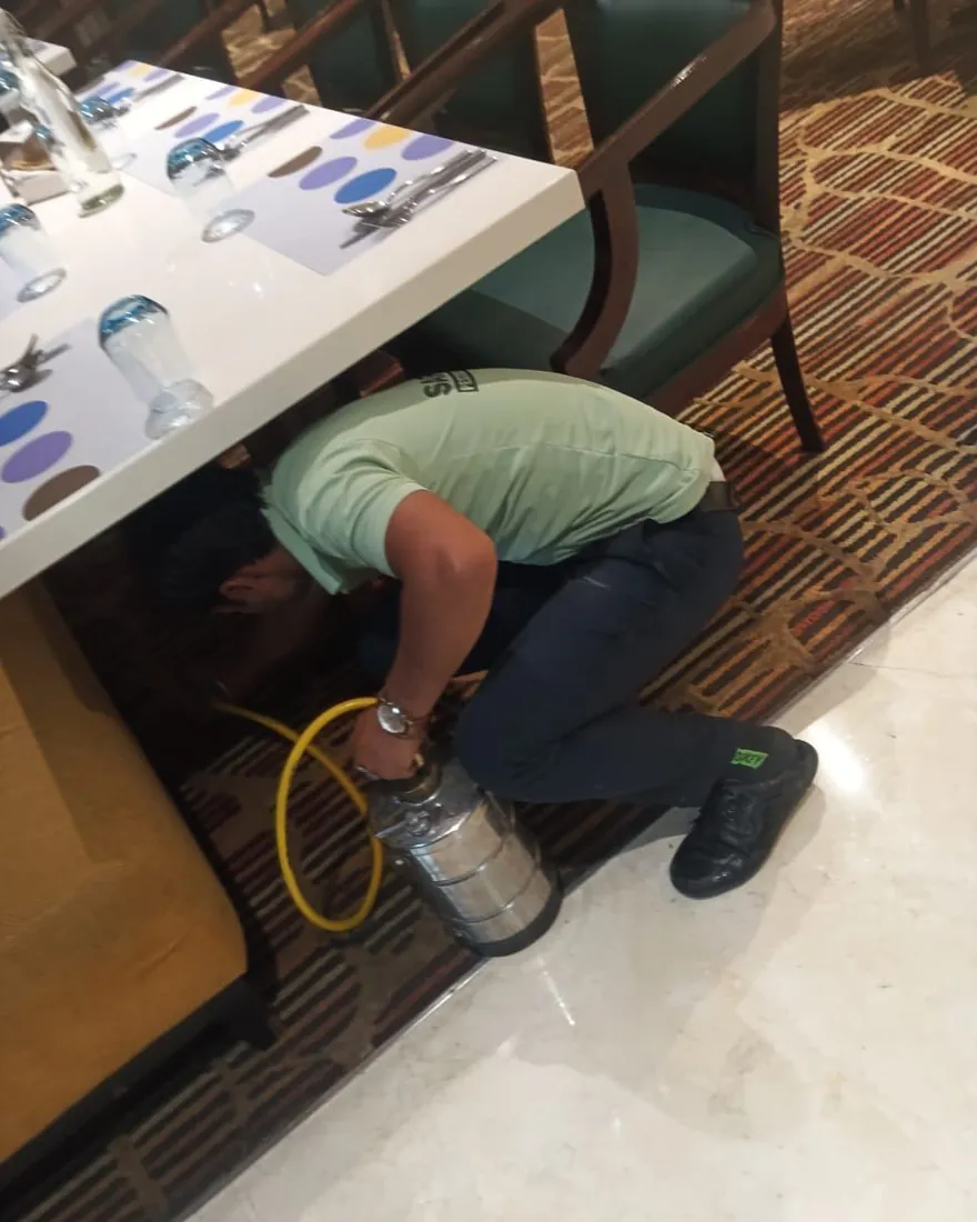 Safe Home Pestochem technician: crevice treatment beneath a kitchen counter