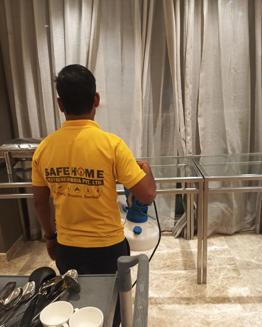Safe Home Pestochem technician: treating a commercial dishwashing area