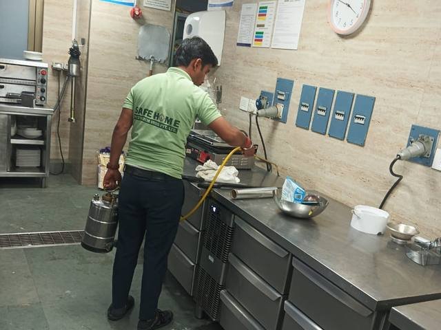 Cockroach treatment along commercial kitchen counters